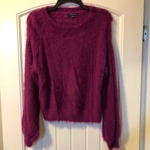 Fuzzy purple sweater!